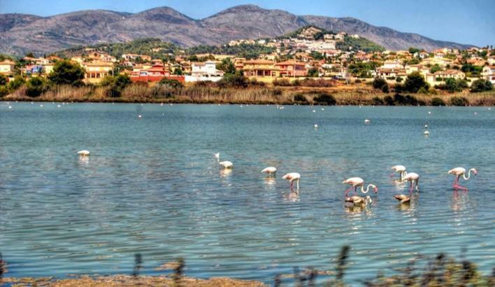 Апартаменты Apartamento Moderno Muy Centrico Y Cerca De La Playa Кальпе Экстерьер фото